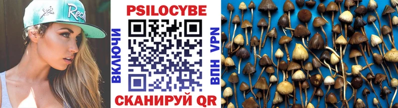 Галлюциногенные грибы прущие грибы  сайты даркнета Telegram  Донецк 