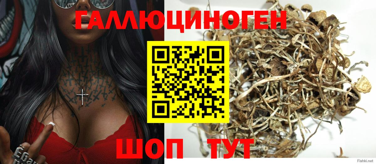 Галлюциногенные грибы ЛСД  Псилоцибиновые грибы мухоморы  продажа наркотиков  Вход с VPN  Донецк 