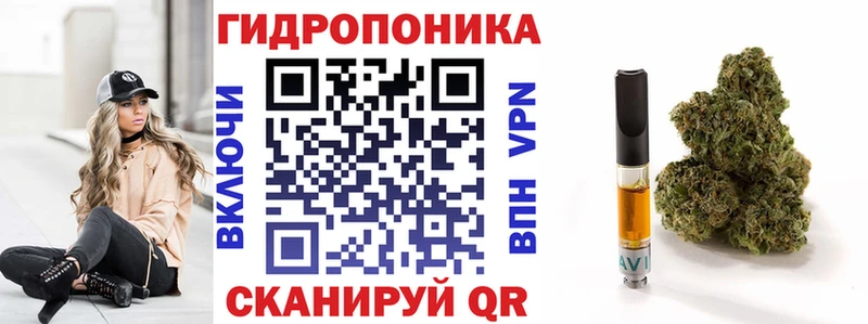 мега   сколько стоит  Донецк  Бошки Шишки сатива 