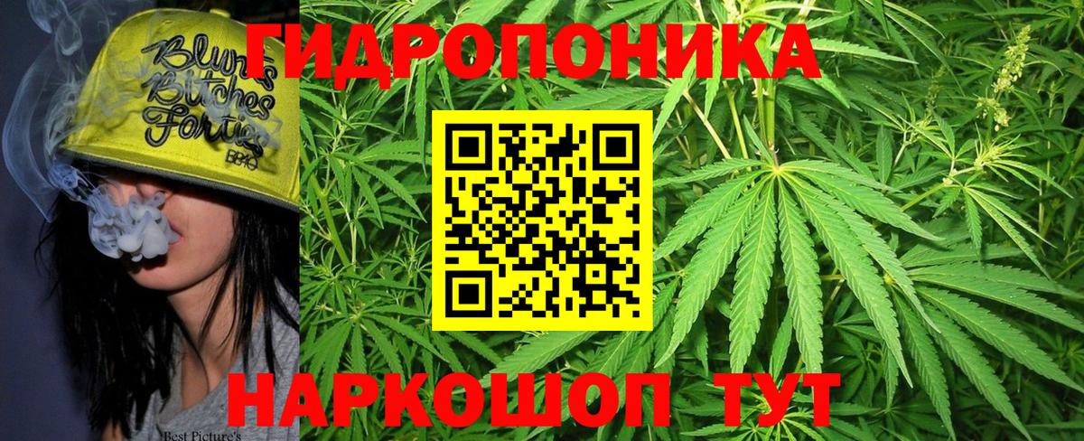 Конопля гибрид Донецк